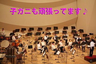 kogani[1]