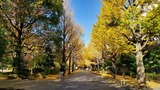 20191130_125224