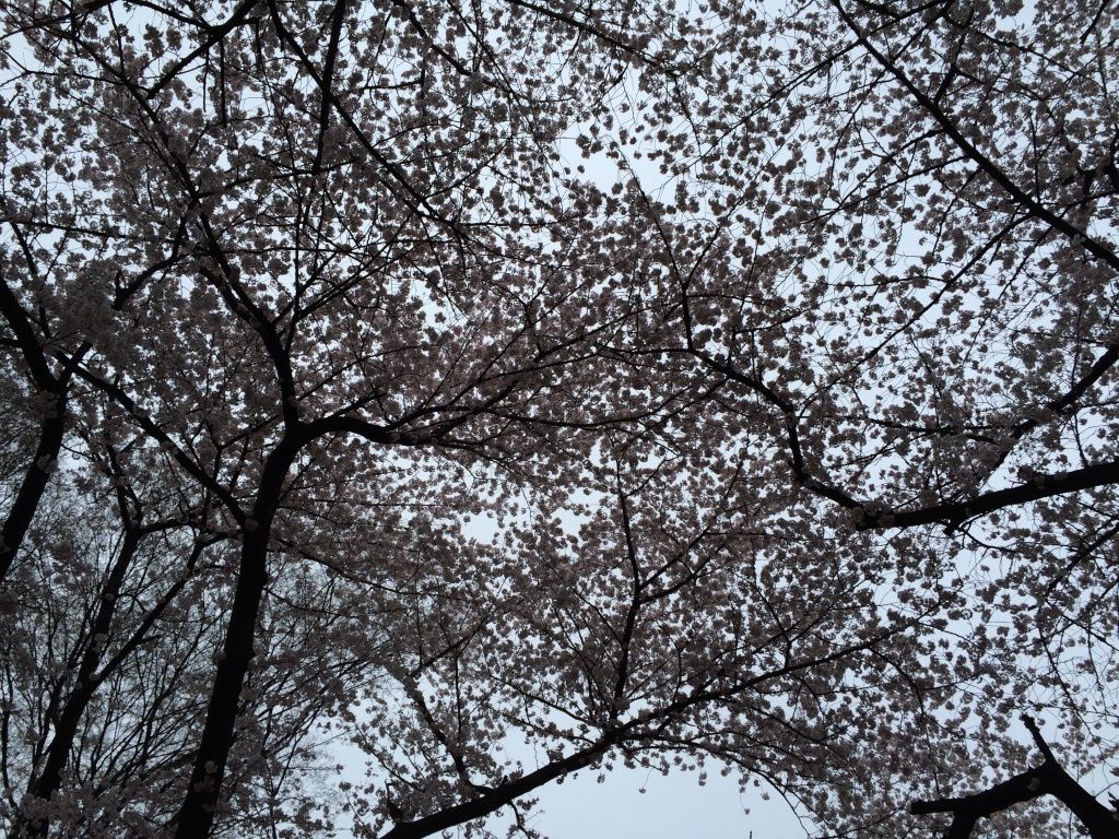 20160402_phil_5