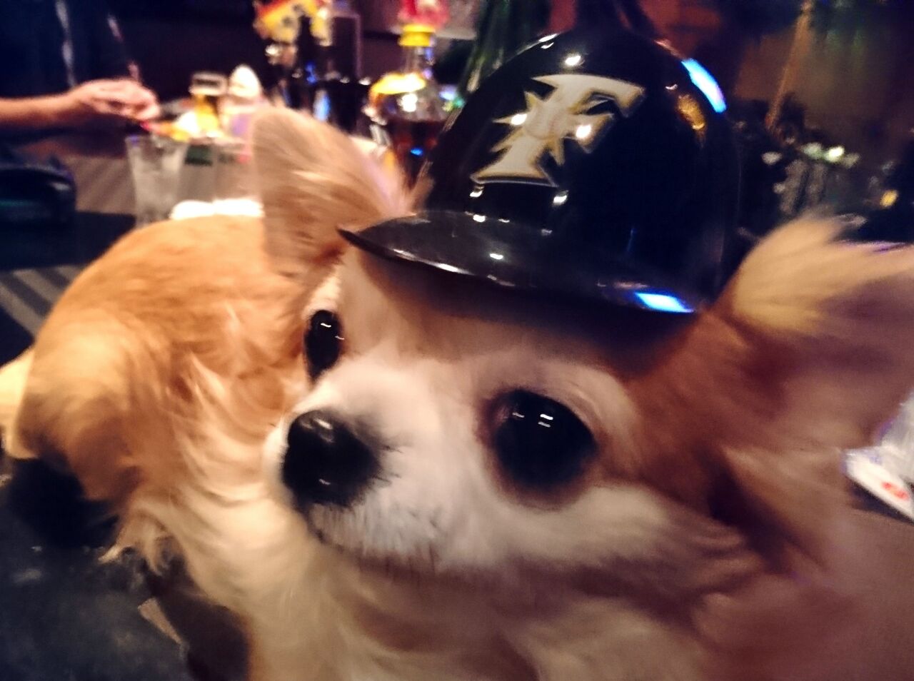 たま子