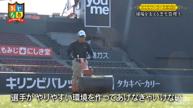 マツダスタジアム芝生管理士_05