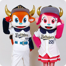 バファローブル人気ない