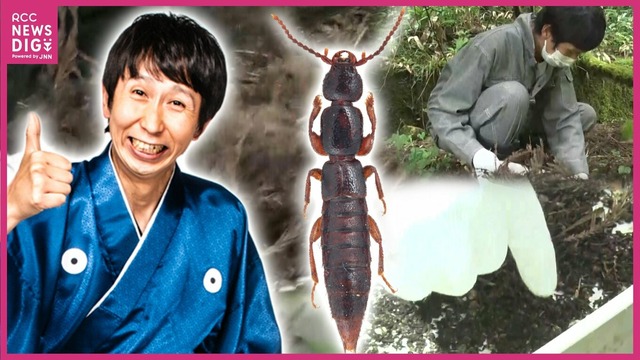 【広島県】アンガ山根が新種の昆虫を発見！『元就。』ロケ中の快挙！国際的学術誌も認定「日本のコメディアンが発見した」