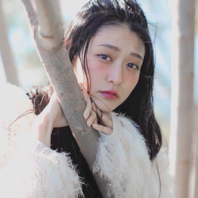 karunaモデル