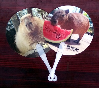 脱走カピバラ大捜索キャンペーン_02