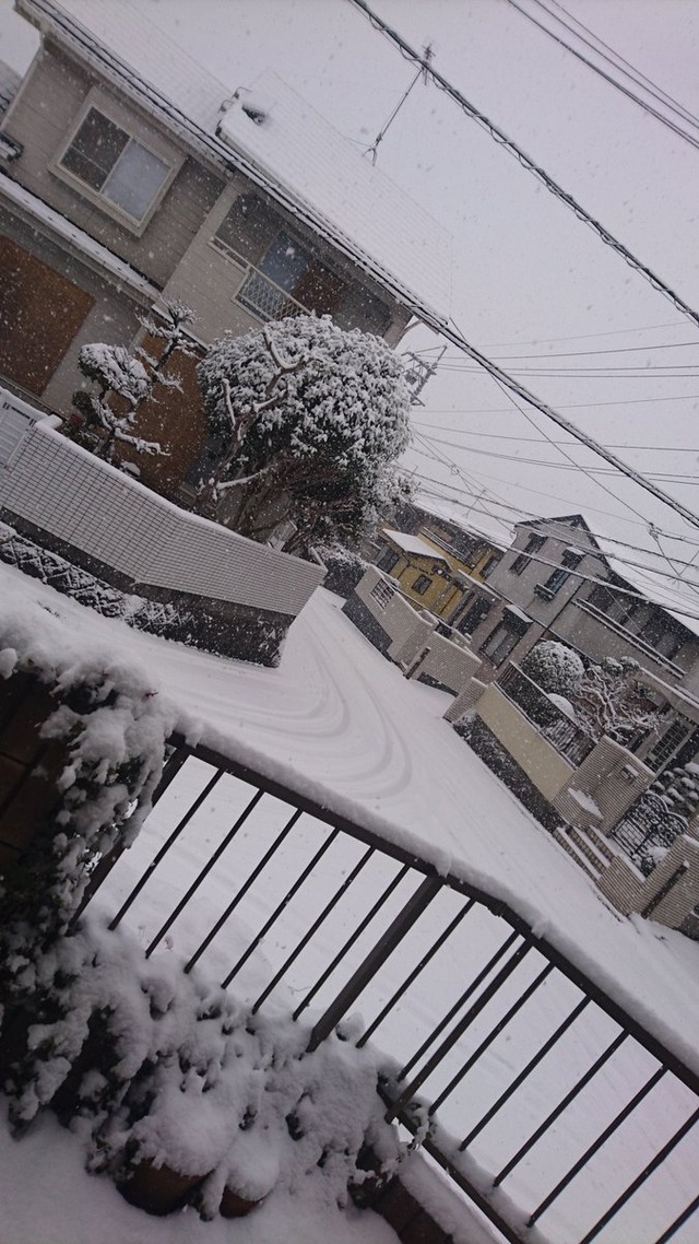 広島県_大雪 (2)
