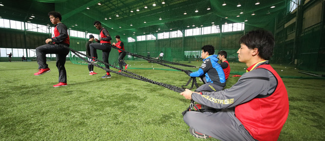 カープ合同自主トレ (9)