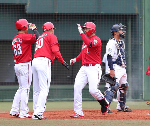 鈴木誠也小園に打撃を教えてもらう