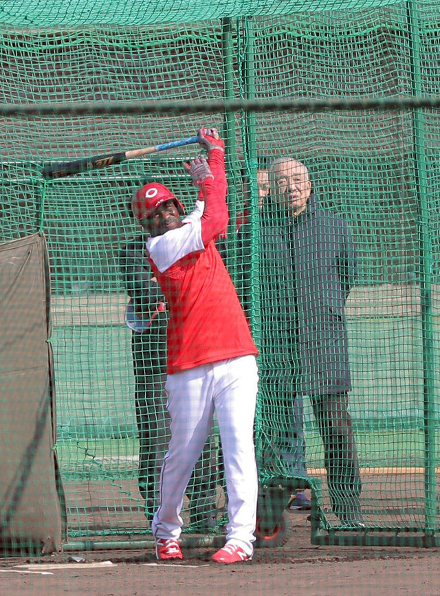 広島ピレラルナ似てる