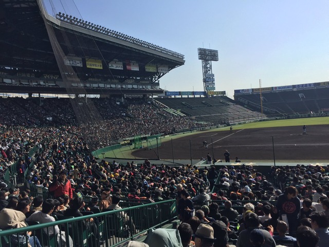 甲子園トライアウト観衆
