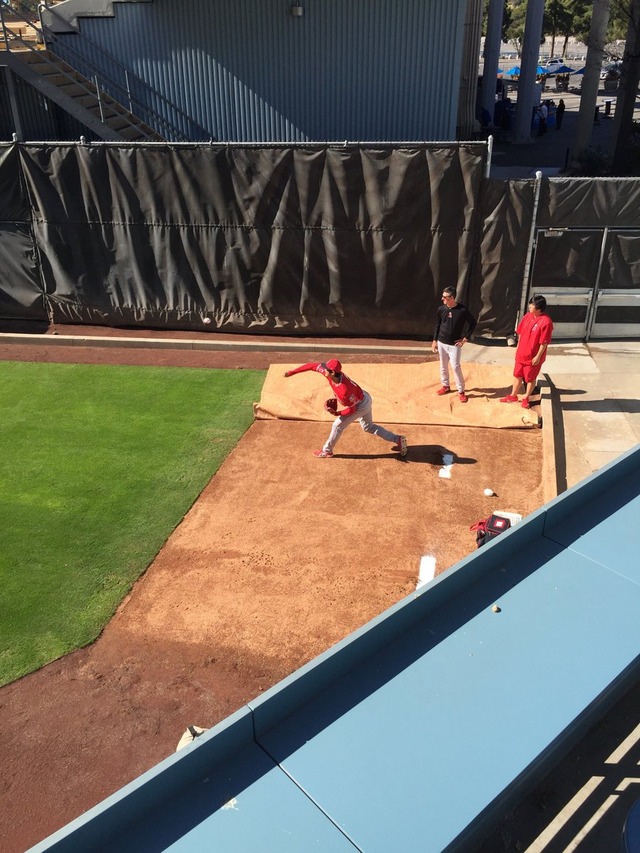 マエケン大谷翔平 (6)