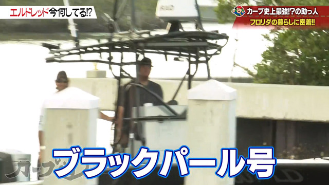 エルドレッド_カープ道_15