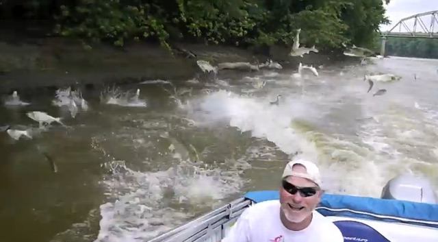 アジアンカープ_02