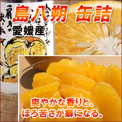 はっさく缶詰