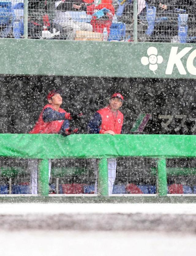 カープvs楽天、大雪で試合中断