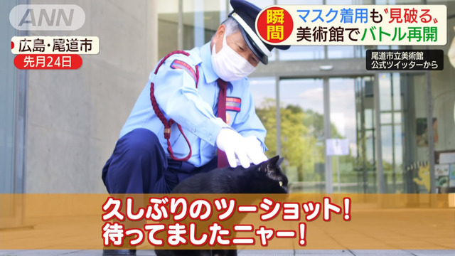 猫警備員広島県尾道美術館