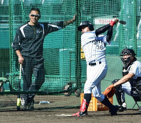 阪神金本監督　５年目の一二三に付きっきりチェック