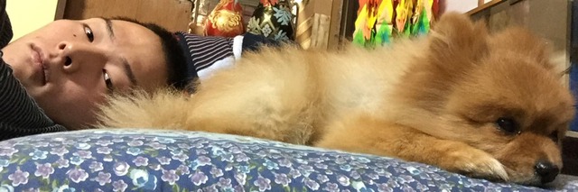 薮田_Twitter_愛犬