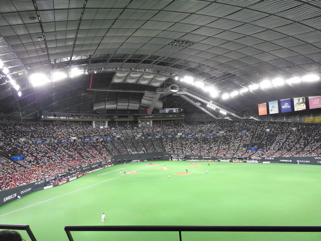 DSCN7063