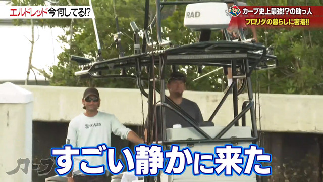 エルドレッド_カープ道_16