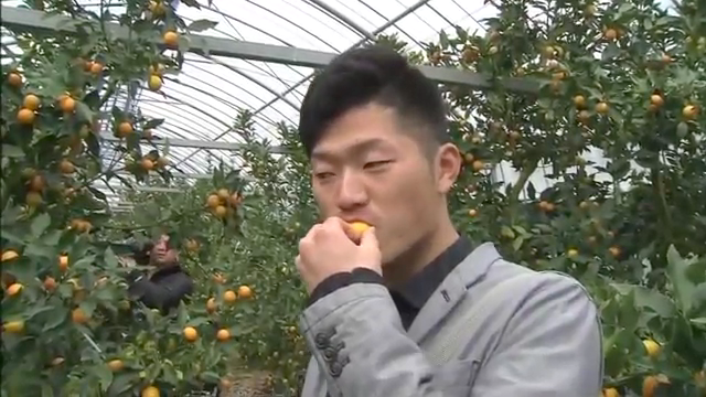 カープドラ1岡田_日南キャンプ_インタビュー_06