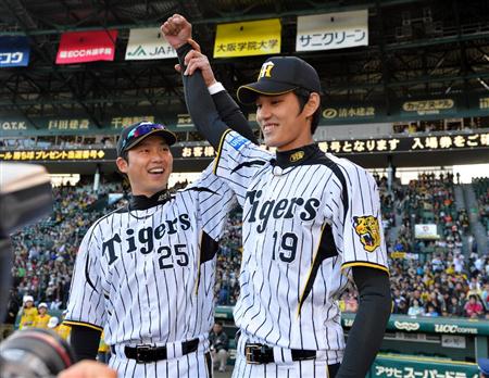 新井藤浪ヒロイン