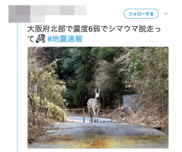 シマウマ脱走_デマ