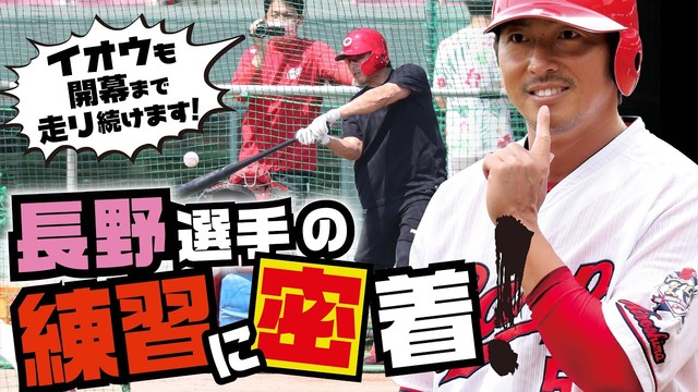 12球団公式YouTubeチャンネル登録者数_カープは11位浮上