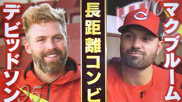 マクブルームデビッドソン