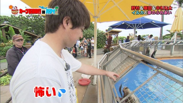 カープ優勝旅行INハワイ (99)