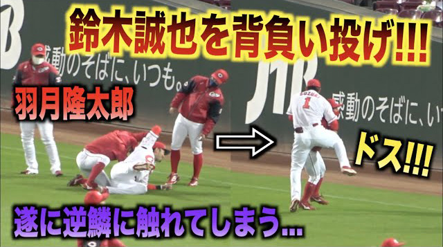 カープ羽月が鈴木誠也を一本背負いして怒られる動画