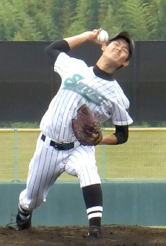カープ長井