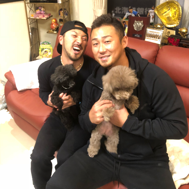 菊池涼介中田翔実家
