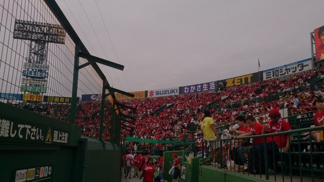 甲子園カープファン_04