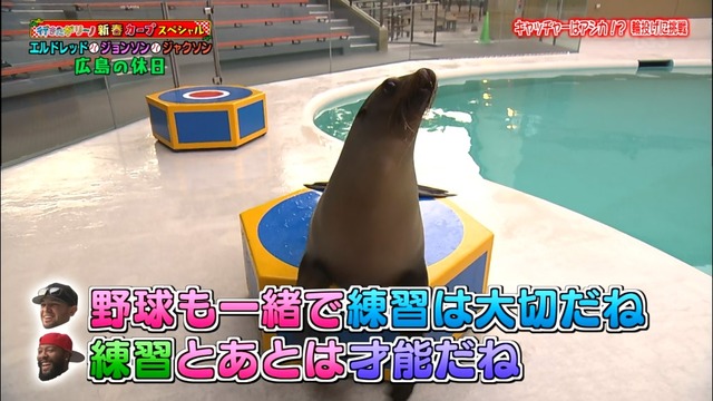 行きたがリーノ_カープお正月_46