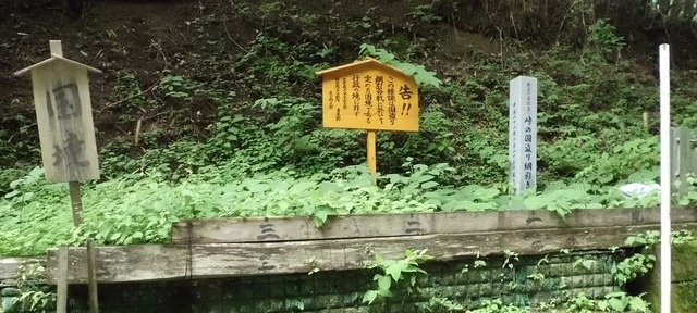 峠の国盗り綱引き合戦の各札