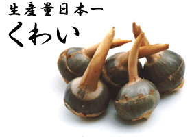 福山_くわい