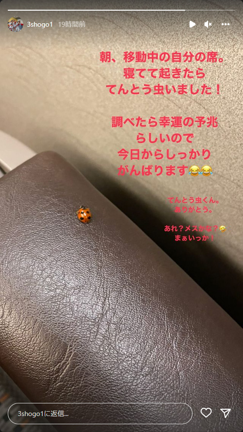 坂倉将吾てんとう虫