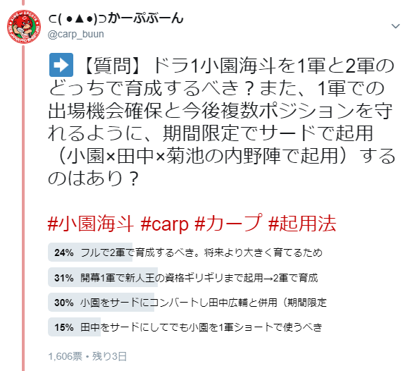 小園海斗_起用法_育成法