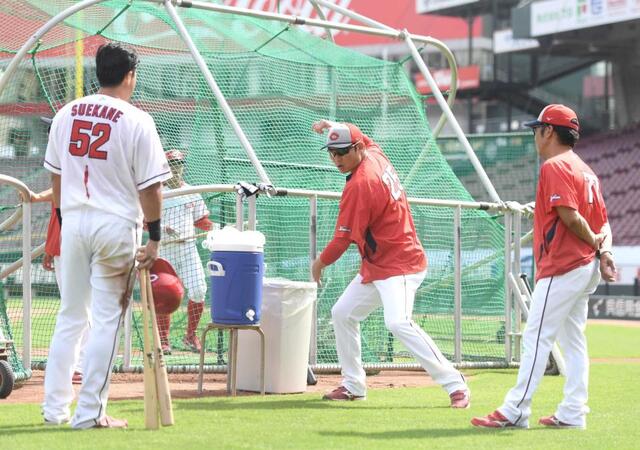 新井末包