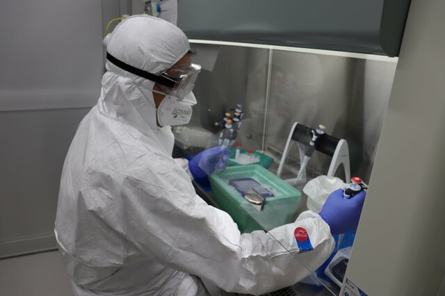 カープがコロナPCR検査検討