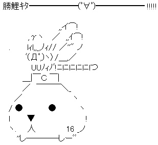 カピバラ16
