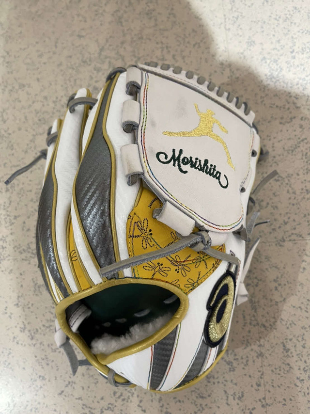 森下練習用グラブ投票 (2)