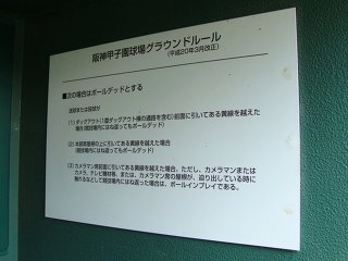 甲子園ローカルルール