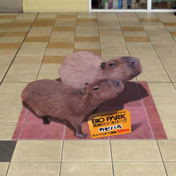 脱走カピバラ大捜索キャンペーン_01