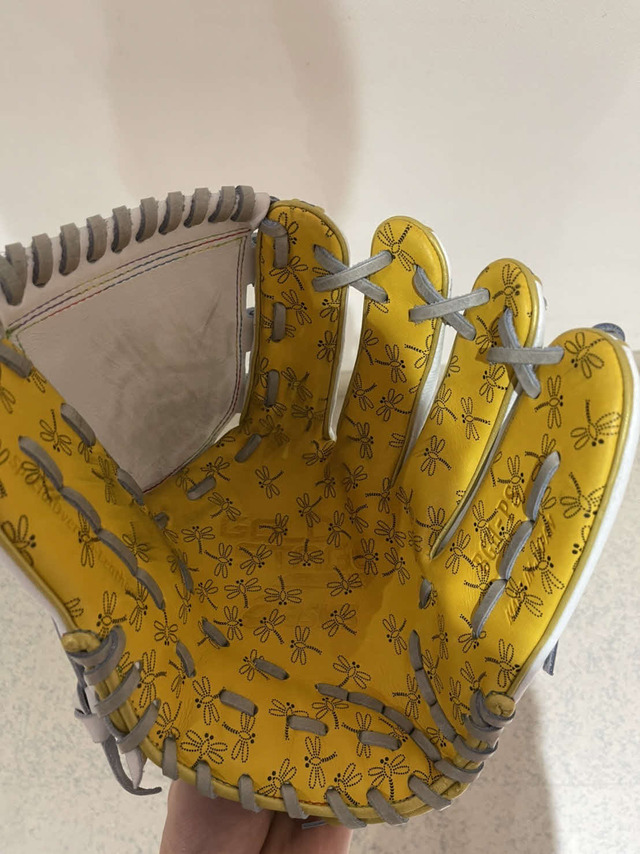 森下練習用グラブ投票 (3)