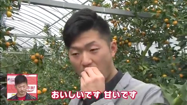 カープドラ1岡田_日南キャンプ_インタビュー_07