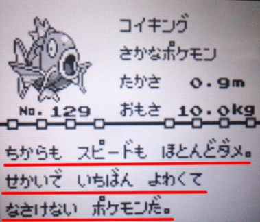 コイキング説明