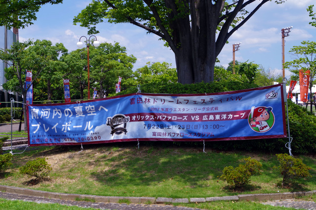 IMGP6815