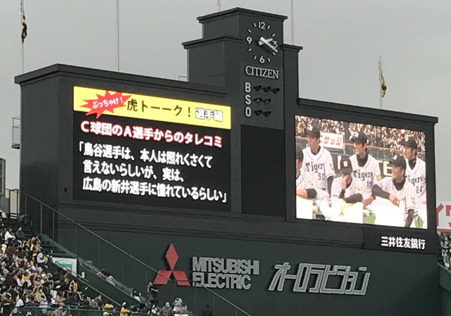 鳥谷_新井さん_尊敬_虎トーーク